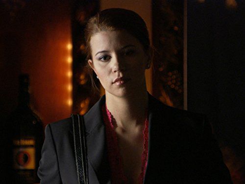 罪恶都市日记第5季:午夜秀