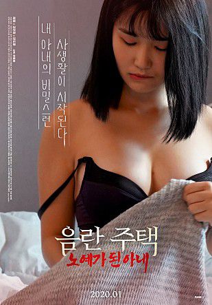 淫房奴隶妻子