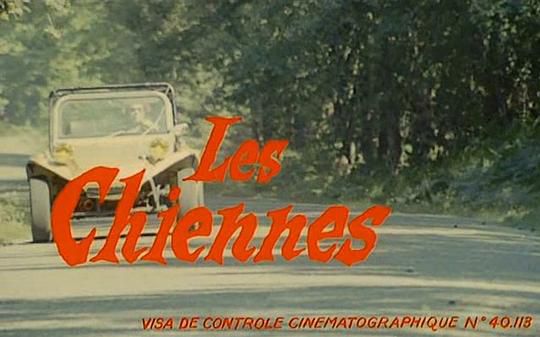 The Bitches / 犯罪 Les chiennes