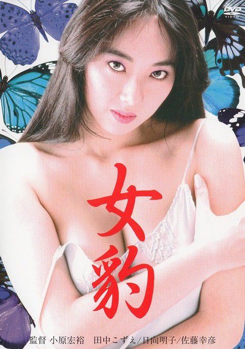 女豹 Female Leopard