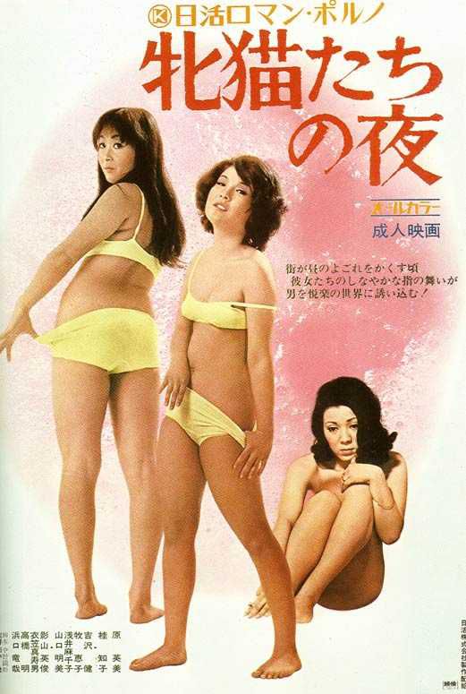 性感野猫之夜 Mesunekotachi no yoru