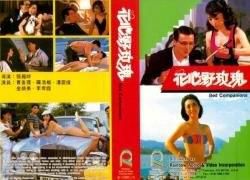 花心野玫瑰
