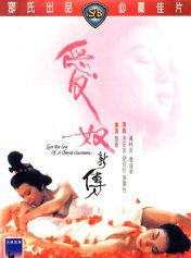 爱奴新传
