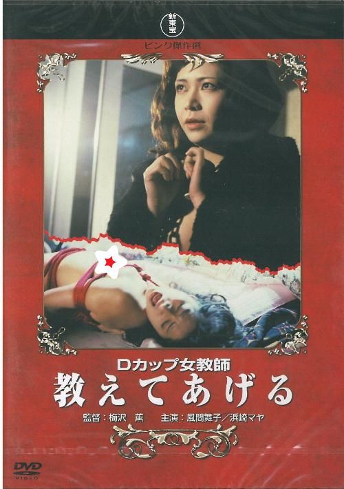 Dカップ女教師 教えてあげる