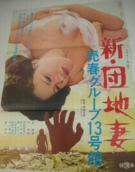 新・団地妻 売春グループ13号館