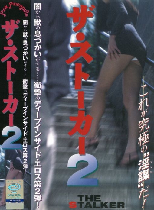 跟踪狂2