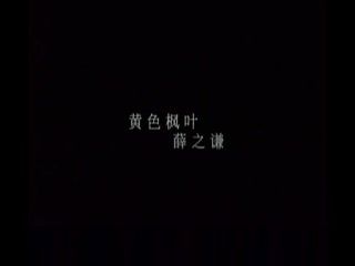 黄色枫叶