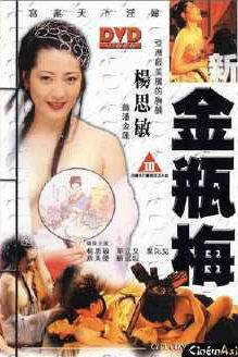 新金瓶梅 全五集