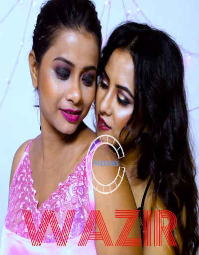 瓦齐尔 2020 S01E02 Hindi