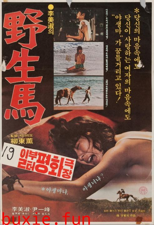 野生马