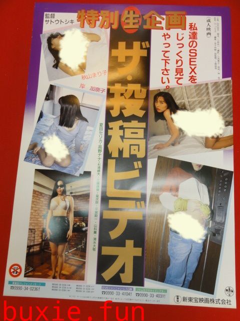 投稿写真