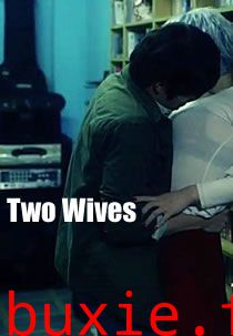 两个妻子(2014)